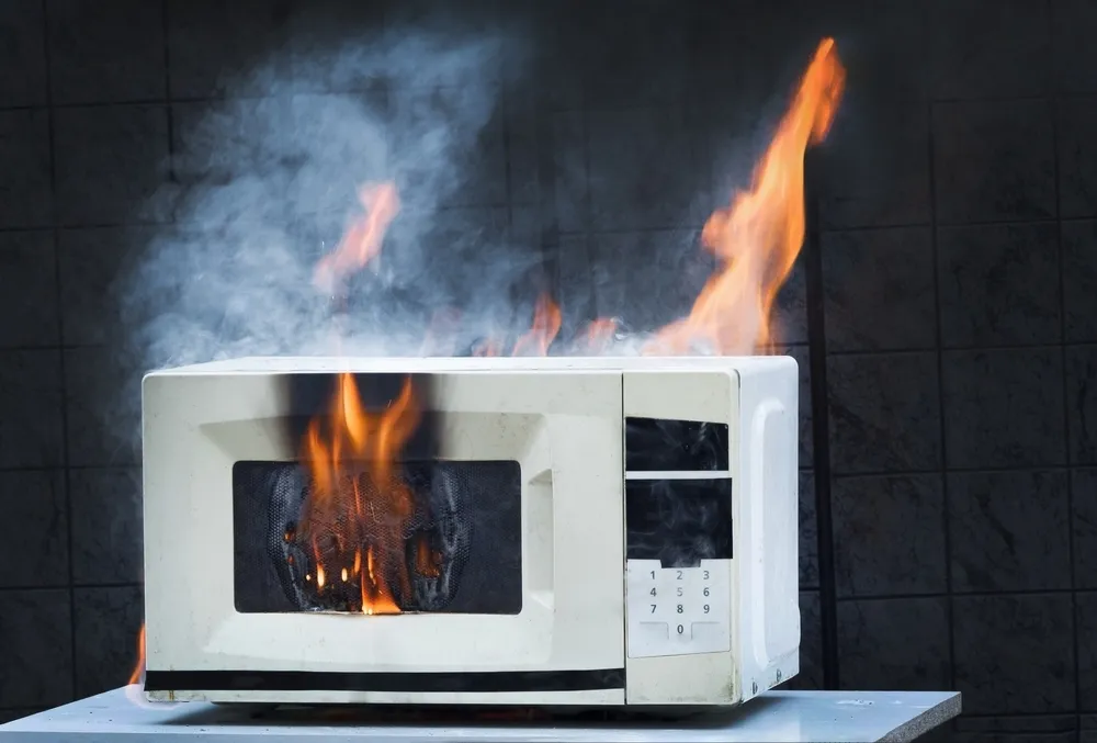 A microwave on fire